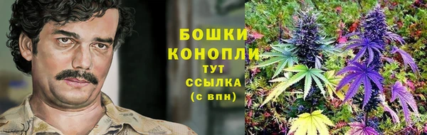 СК Осинники